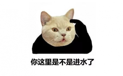 ​猫流眼泪怎么回事？常见的猫咪眼部疾病有哪些？
