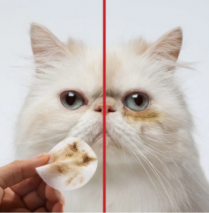 ​猫的泪痕怎么去除 ，你get到了吗？