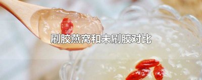 ​刷胶燕窝和未刷胶对比图片 刷胶燕窝和未刷胶对比