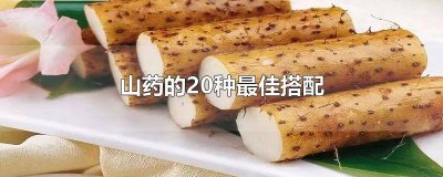 ​山药的20种最佳搭配婴儿辅食 山药的20种最佳搭配榨汁好