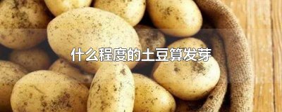 ​什么程度的土豆算发芽图片 什么程度的土豆算发芽