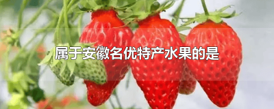 ​石榴芒果汤山酥梨属于安徽名优特产水果的是 砀山梨与砀山酥梨的区别