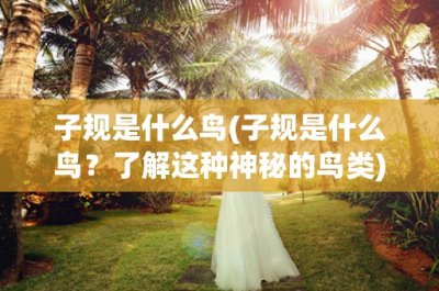 ​子规是什么鸟(子规是什么鸟？了解这种神秘的鸟类)