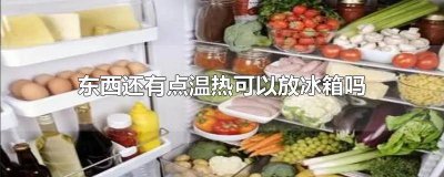 ​还温热的东西可以放冰箱吗 东西还温热能放冰箱吗?