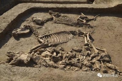 ​2600年前一个让秦国极其头痛的民族是哪个民族?