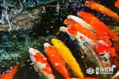 ​唐朝为什么不能吃鲤鱼