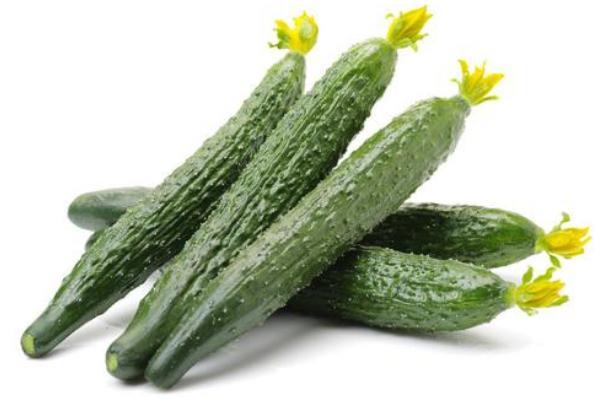 黄瓜的功效与作用 黄瓜的营养价值