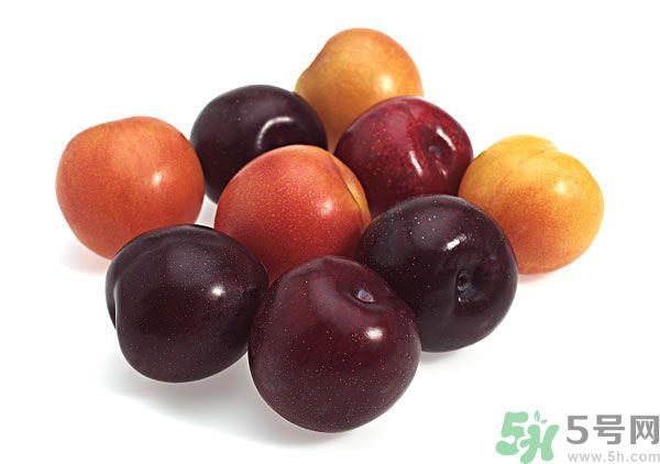 灰子孕妇可以吃吗？灰子能不能吃？