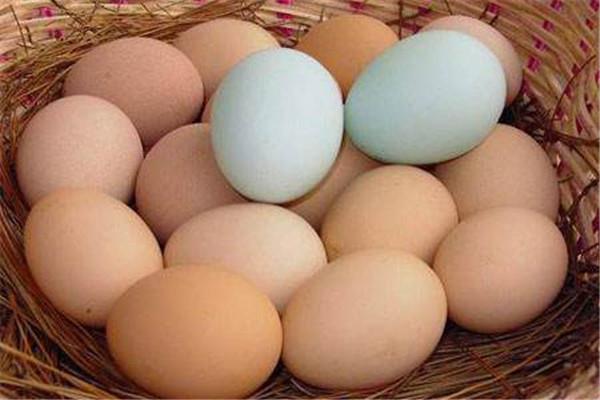 土鸡蛋和普通鸡蛋的区别 土鸡蛋的营养价值 土鸡蛋和普通鸡蛋的区别 土鸡蛋的营养价值