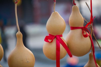 ​葫芦的养殖方法