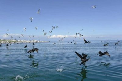 ​中国最大的湖泊排名，青海湖稳居首位