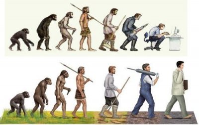 ​自然界智商最高的10大动物 最聪明动物是人类