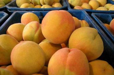 ​国内十大黄桃产地排名 第一名:炎陵黄桃 砀山黄桃榜上有名