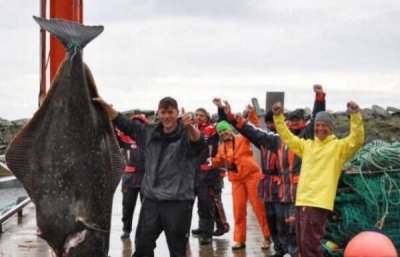 ​世界上最大的比目鱼，重达468斤