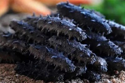 ​干海参怎么分辨好不好 干海参什么颜色的最好