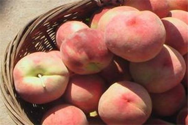桃子是不是上火的 桃子是上火的食物吗
