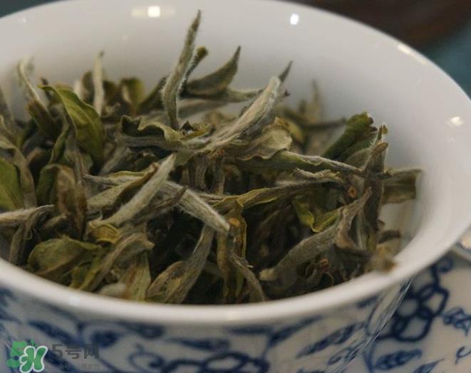 白茶需要洗茶吗？白茶是洗还是不洗？