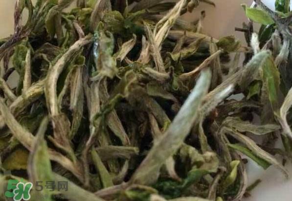 白茶需要洗茶吗？白茶是洗还是不洗？
