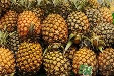 菠萝是低糖水果吗？菠萝含糖量高吗？
