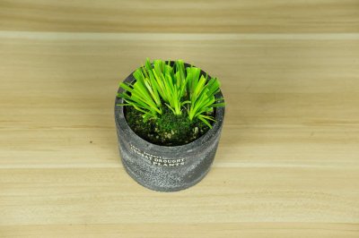 ​菖蒲花的花语和寓意，有什么传说故事