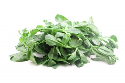 ​牡丹吊兰怎么施肥，这样施肥才有效！