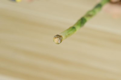 ​富贵竹怎么养