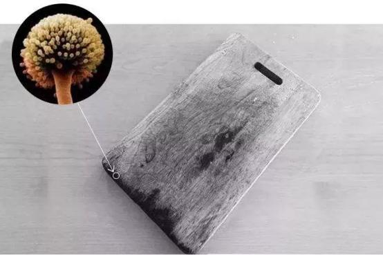 砧板界的「钢铁侠」,不长霉剁骨无声,德国人不爱双立人爱它