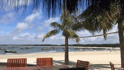 真的用椰奶做的清补凉,海南岛特产,喝一口,消暑气