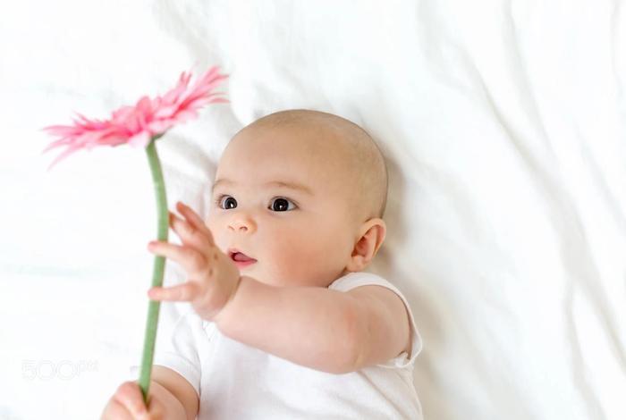 怀瑾握瑜兮,那些如诗如画的狗年宝宝好名字大全(有出处)