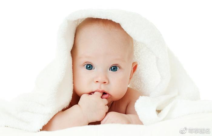 怀瑾握瑜兮,那些如诗如画的狗年宝宝好名字大全(有出处)