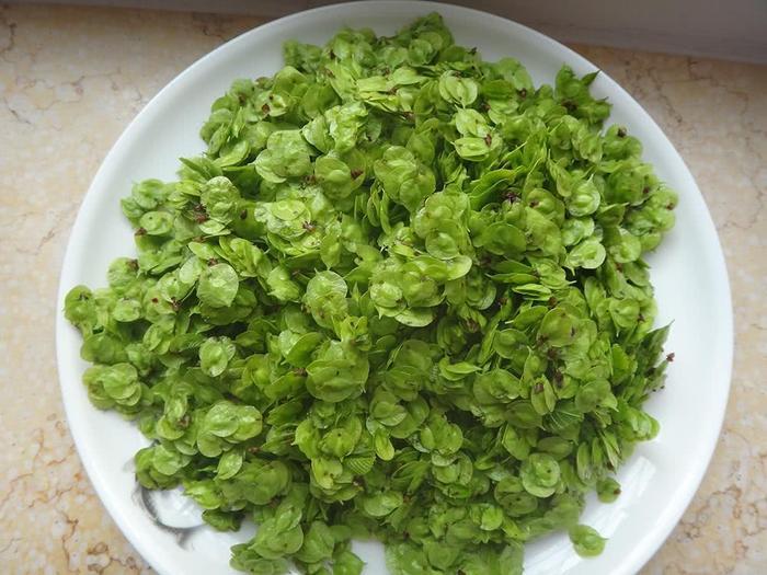 这种天然的野菜没有农药化肥,非常健康,7元一斤很好卖