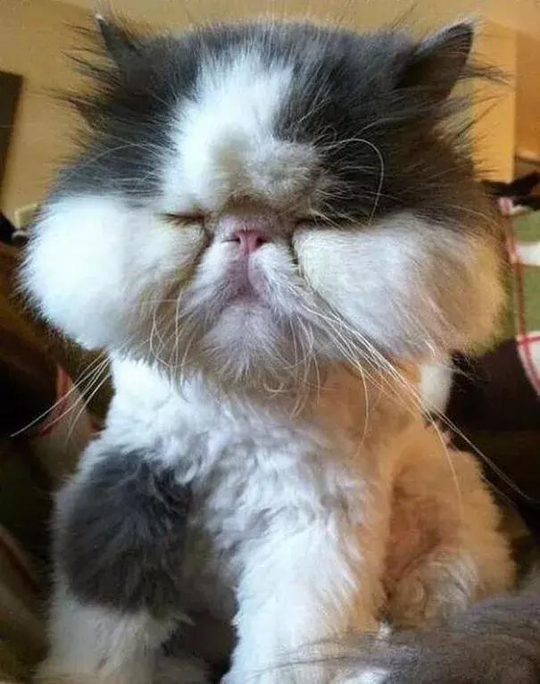 感受下各种被蜜蜂蛰后的样子,大家千万不要招蜂!不然你可能