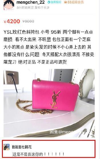 沈梦辰被骗，却意外没有挨骂，招黑体质的她这次竟然吸粉了