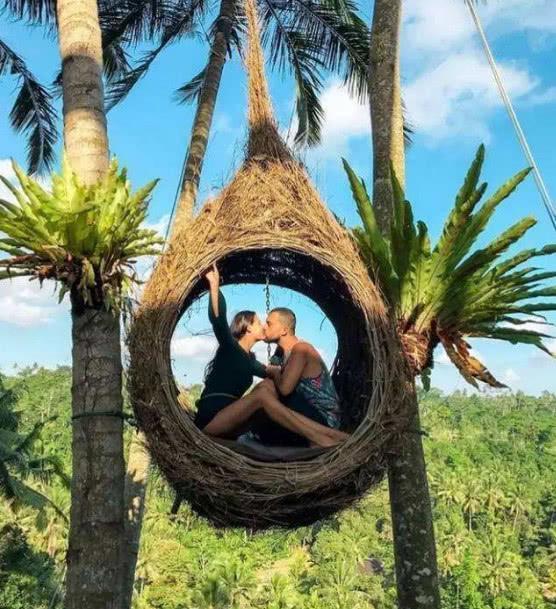 坐这个秋千拍一张照片，要50000块。网红秋千到底长什么样！