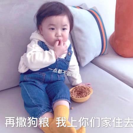 可爱呆萌表情包你算哪块小饼干，让我这么想你