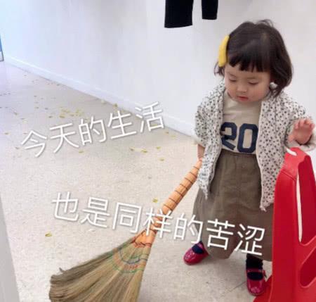 可爱呆萌表情包你算哪块小饼干，让我这么想你