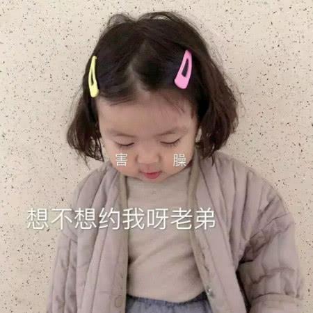 可爱呆萌表情包你算哪块小饼干，让我这么想你