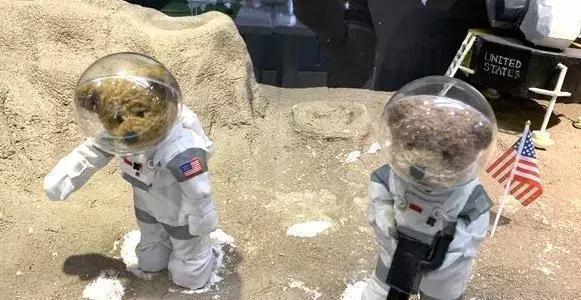 广州环球魔幻世界，打卡市中心网红圣地，99元玩遍11大主题场馆