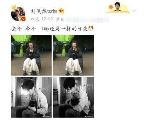 刘昊然与《妖猫传》黑猫再合照, 两次对比感觉不一样!！