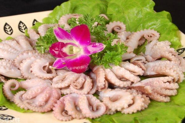 八爪鱼怎么做好吃呢 八爪鱼有什么营养价值呢 八爪鱼怎么做好吃呢 八爪鱼有什么营养价值呢