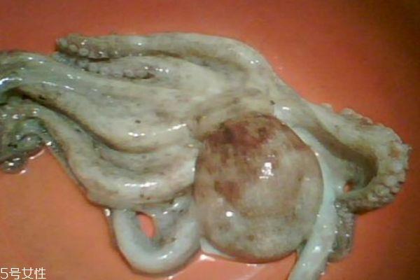 八爪鱼怎么做好吃呢 八爪鱼有什么营养价值呢 八爪鱼怎么做好吃呢 八爪鱼有什么营养价值呢