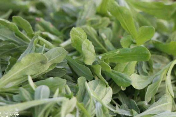 吃清明菜有什么好处呢 清明菜有什么禁忌呢 吃清明菜有什么好处呢 清明菜有什么禁忌呢