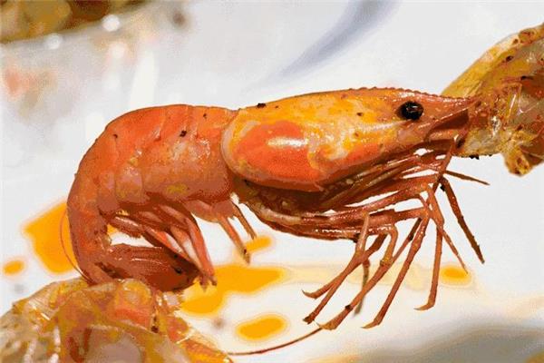 大头虾是海虾还是河虾 大头虾属性介绍