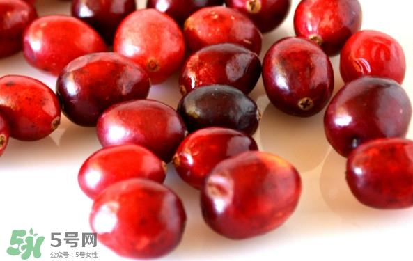 蔓越莓什么时候成熟？蔓越莓什么时候吃最好