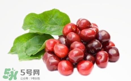 蔓越莓什么时候成熟？蔓越莓什么时候吃最好