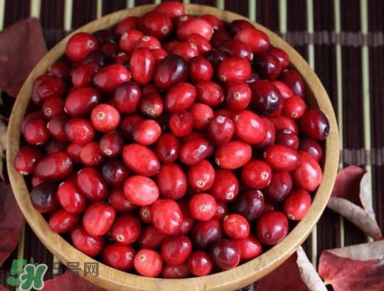 蔓越莓什么时候成熟？蔓越莓什么时候吃最好