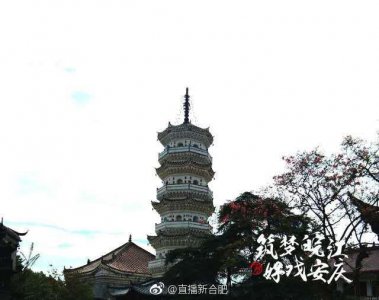 ​传说凤凰非名山不居，非梧桐不栖，非竹实不食，非醴泉不饮