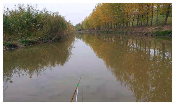 冬至过后钓鱼，牢记这6字秘诀，钓鱼淡季也能连竿上鱼！