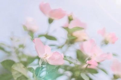​厂房翻新喷漆彩钢瓦翻新漆起皮、开裂、返锈的真相有哪些