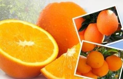 ​哪些食物不要和红枣一起吃 怎么吃能让红枣功效翻倍